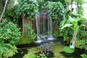 植物館の大温室は、新江東清掃工場のゴミの熱焼却でつくられる高温水を利用して、気温が高く雨の多い熱帯雨林の環境をモデルとして造られている。